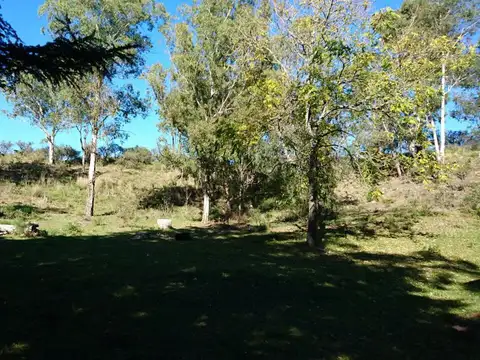 Venta Campo 4 Hectáreas- Villa Del Dique, Córdoba