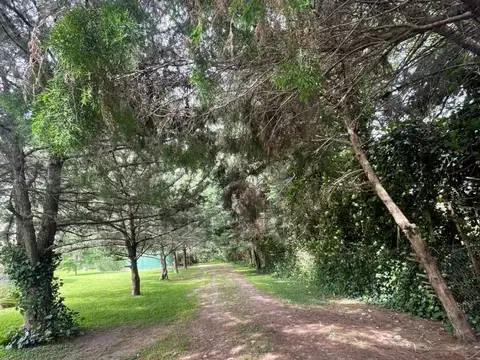 Fraccion quinta en venta en Arturo Segui