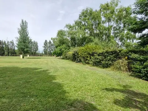 Terreno en Venta de 793,0 m2