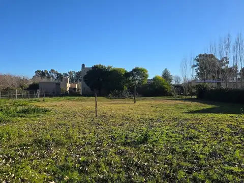 Lote en venta en san Miguel del Monte