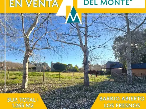 Lote en venta en san Miguel del Monte