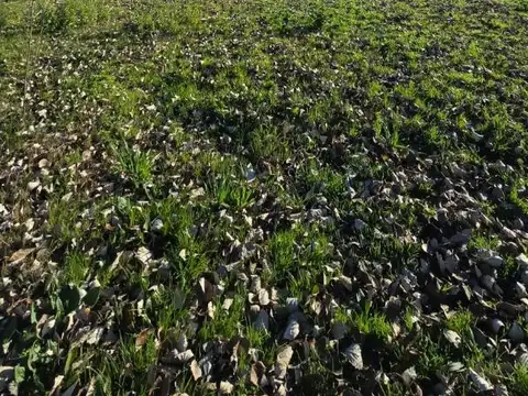 Terreno en Venta, FOS 0,04