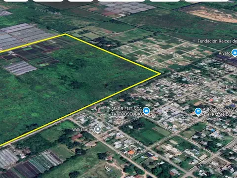 Campo en La Plata 179 y 419