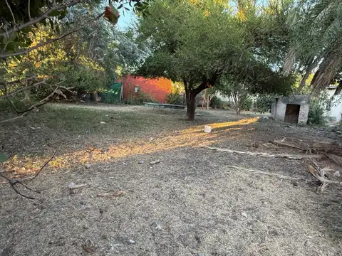 Francisco Lapalma Y Romani