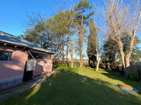 Lisandro De La Torre