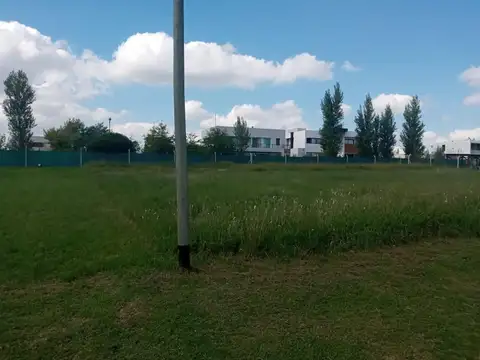 Terreno en Venta de 555,0 m2