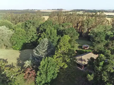Sierra de los Padres - 129 has. Agricola con excelente potencial