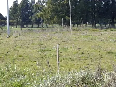 Terreno en Venta de 360,0 m2