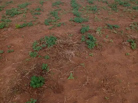 Ruta Provincial 5 (rp 5) Acceso Principal