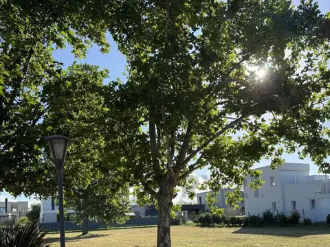 Terreno en Venta 39  mts Fondo