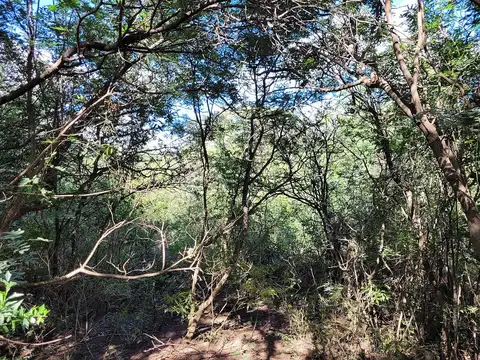 Terreno en Venta de 10000,0 m2