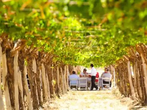 TERRENO VENTA La Estancia de Cafayate Wine