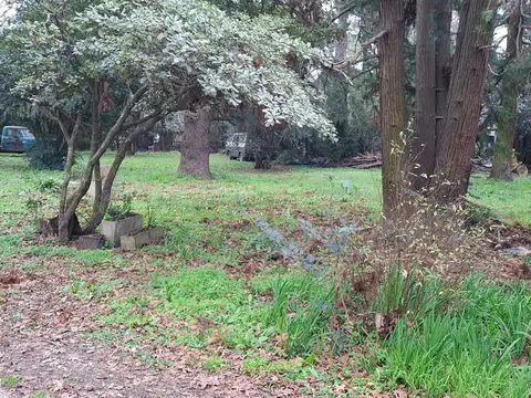 Terreno en Venta 32  mts Fondo