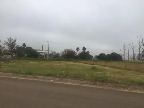 Av Brigadier Bustos 1300