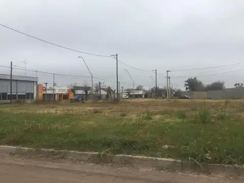 Av Brigadier Bustos 1300