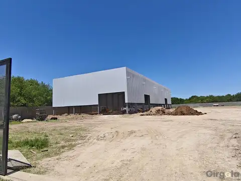 Darwin Passaponti 4600 100