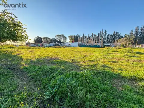 Terreno en Venta en Susana, USD 50.000