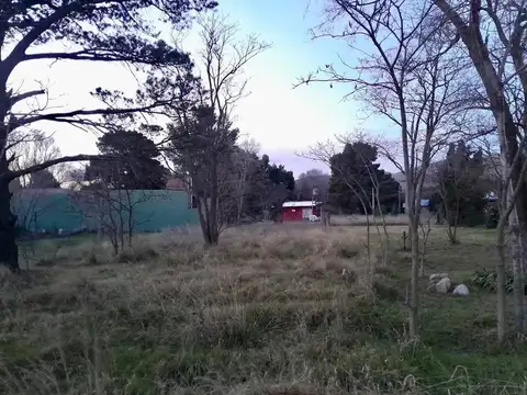 Las Acacias 100