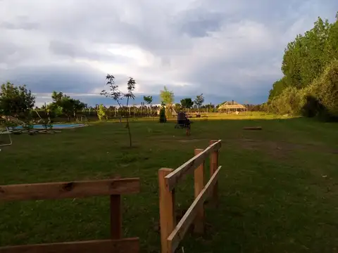 Constanzo 3000