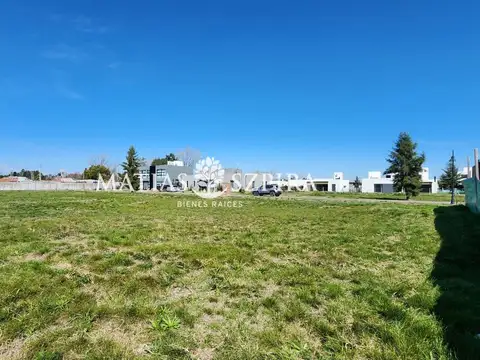 Carola Lorenzini 4600