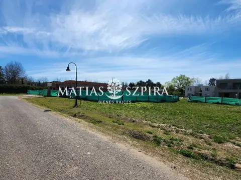 Carola Lorenzini 4600