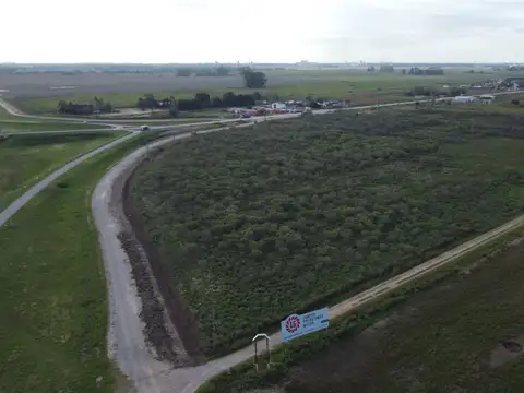 Ingreso a Estacion Sanchez Sobre Pavimento 