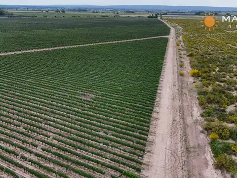 Finca en venta en Ugarteche