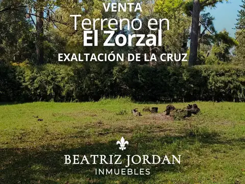 TERRENO EN VENTA, BARRIO EL ZORZAL, PARADA ROBLES