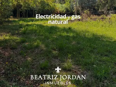 TERRENO EN VENTA, BARRIO EL ZORZAL, PARADA ROBLES