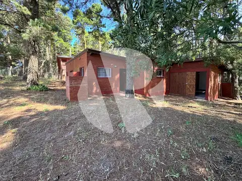 Juanita Soria al 800