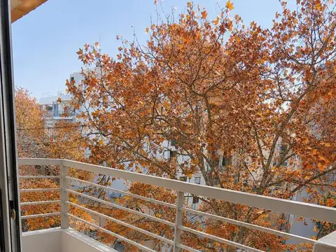 Departamento en Alquiler al Norte