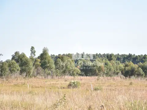 Terreno en Venta 500  mts Fondo