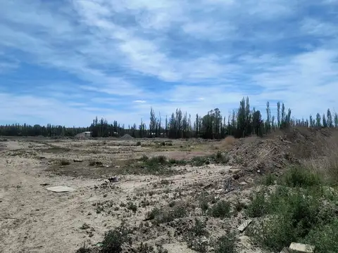 VENTA CHACRA DE TRES HECTAREAS EN PLOTTIER, NEUQUE