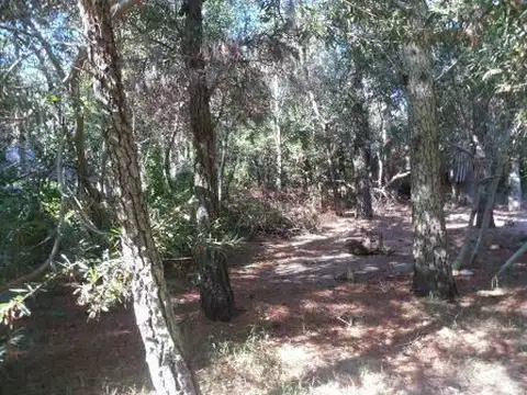 Terreno en Venta en Alfalad, USD 46.000