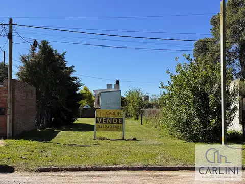 Antártida Argentina 500 - Lote Soldini