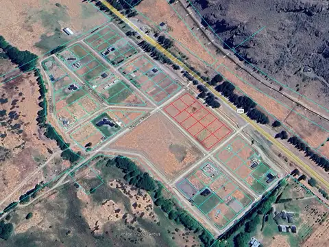 RUTA 259