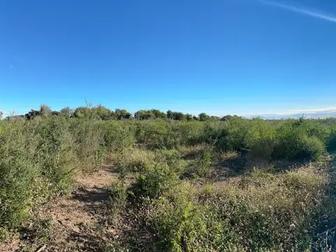 Terreno en Venta de 41061,0 m2