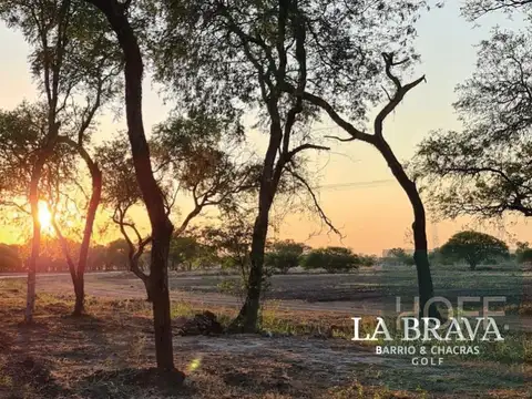 Lotes en venta en la Brava Barrio Chacras