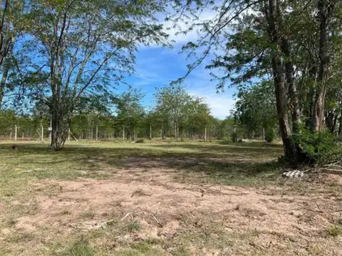 Fincas de Hudson 7400