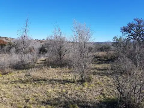 2138-Santa Monica Residencial