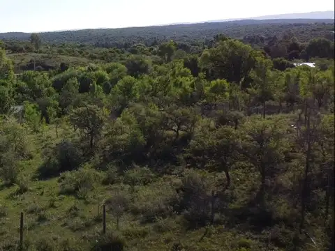 2138-Santa Monica Residencial