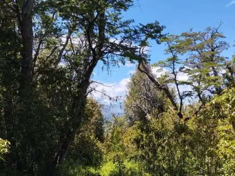 Terreno en Venta 27  mts Fondo
