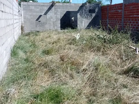 Rudecindo Alvarado 2600