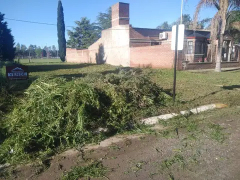 Juan Manuel De Rosas 100