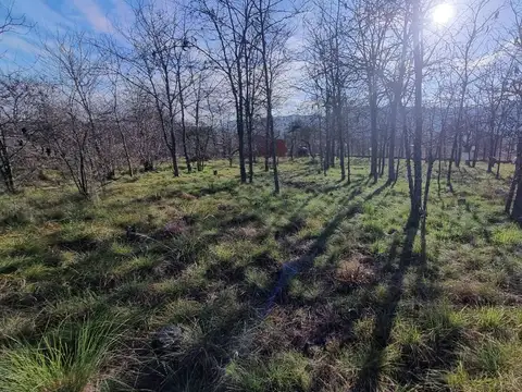 Terreno en Venta en Santa Rosa de Calamuchita, USD 9.900