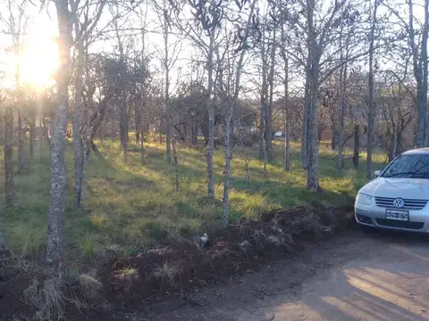VENTA LOTE SANTA ROSA DE CALAMUCHITA 