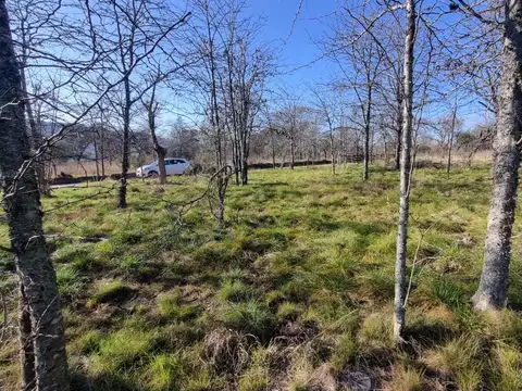 VENTA LOTE SANTA ROSA DE CALAMUCHITA