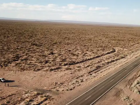 VENTA HECTAREAS EN SENILLOSA