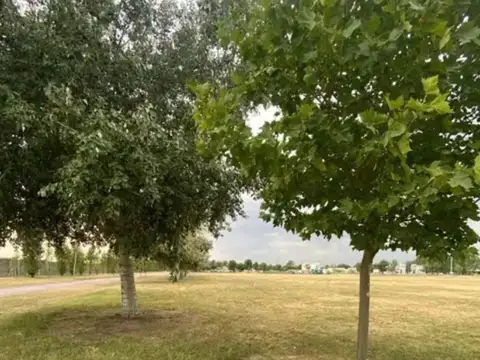 FINCAS SPORTING! LOTE DOBLE, GAS NATURAL, FIBRA OP