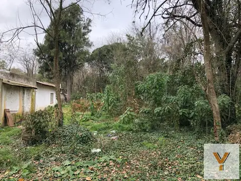 Terreno en venta - 10.066Mts2 - San Vicente